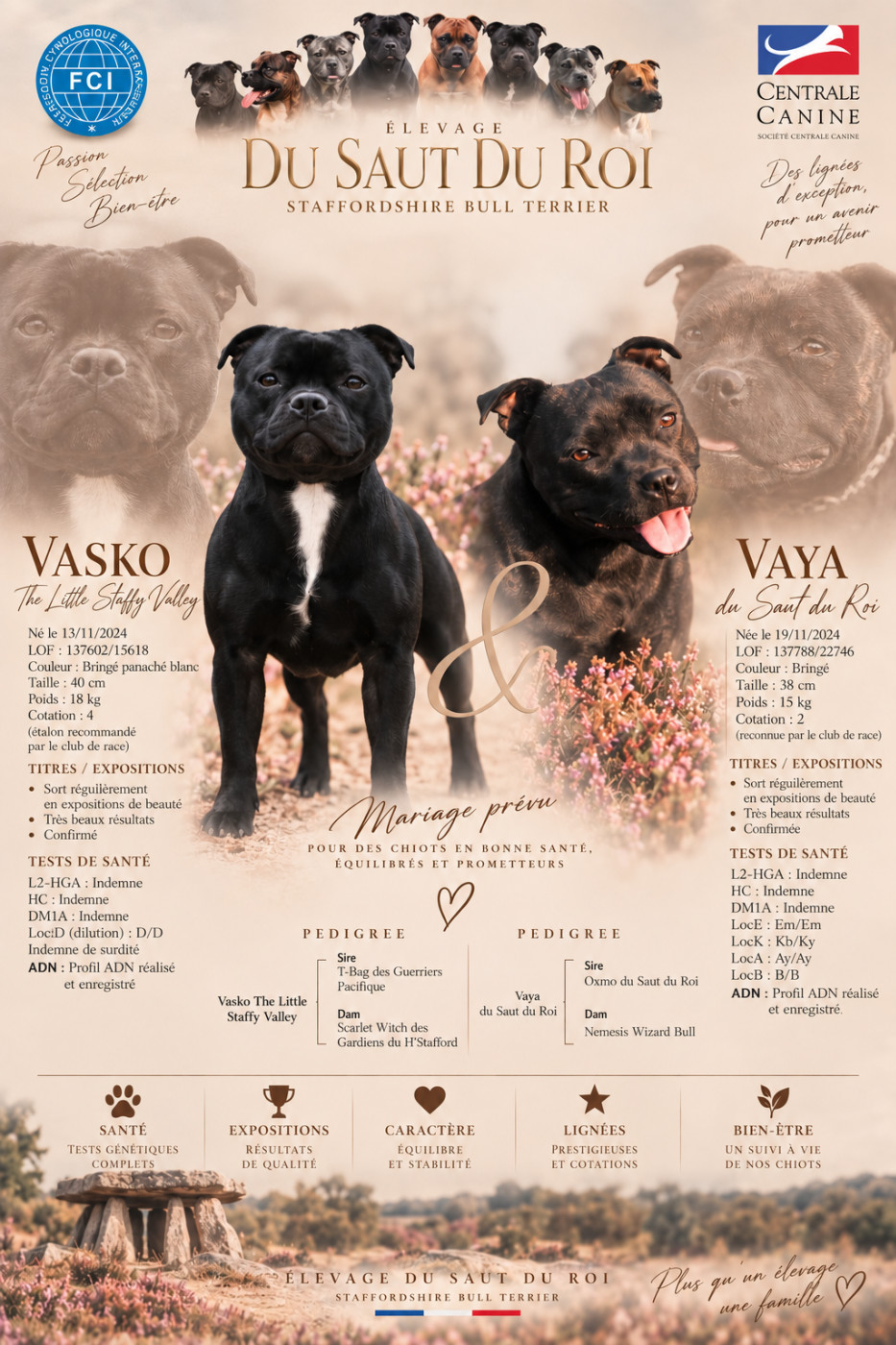 Prochain mariage à venir