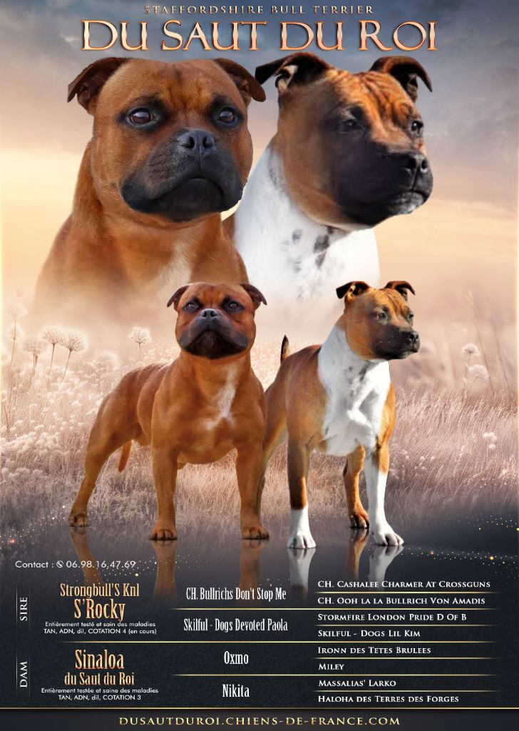 Des bébés à venir 