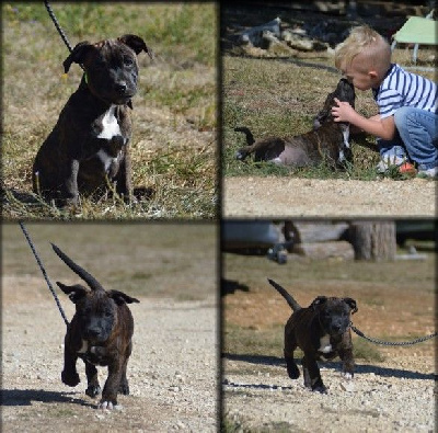 The Most Beautiful Thunder